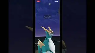 MEGA BLAZIKEN VS GIAVONNI&rsquo;s SHADOW REGICE