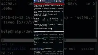 CVE-2017-16995