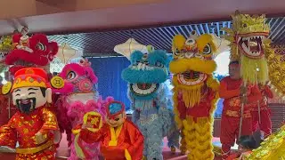Khai Trương Nhà Hàng Thuận Kiều Mời 2 Đoàn Lân Nổi Tiếng Nhất Sài Gòn Nhơn Nghĩa & Tinh Anh Về Múa 