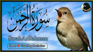 Surah Rahman Ayat | Surah Rehman full | surah rahman tilawat | Episode 764