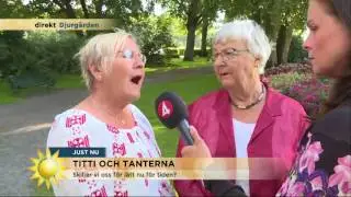Titti och tanterna om skilsmässor: 