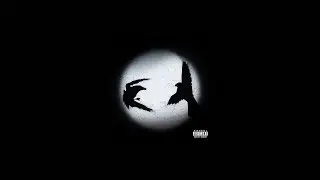 gubiś - czarne wrony (prod. thersx)