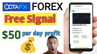 how to use Octafx Forex free signals || free forex signal