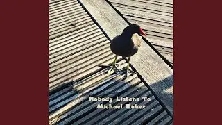 Nobody Listens To Michael Huber