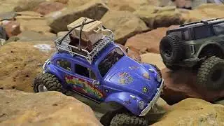 Crawling and follow the leader with the flower power Beetle SCX24