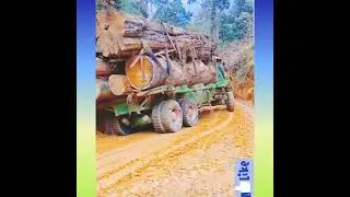 LOGGING TruCK  # DoWnHiLL#