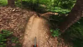 Rhythm and Blues Trail - Blankets Creek MTB Trails
