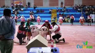 elenco de danza 