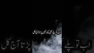 #shorts #youtubeshorts #viral #trending #viralshorts #shayari #loveshayari  #poetry #ishq #mohabbat