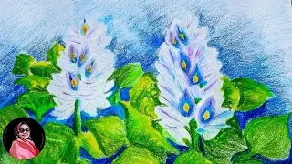 কচুরিপানা ফুল আকাঁর সহজ পদ্ধতি ||  Learn How To Draw Water Hyacinth Flowers || Unique Flower Drawing