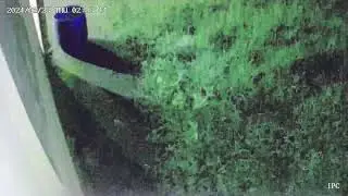 Algu&eacute;m saberia dizer o que &eacute; isso? (D&ecirc; um zoom)