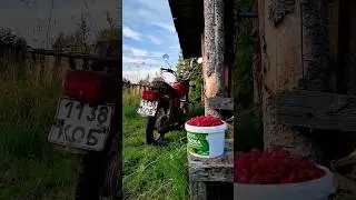 Приехала домой 🏡село Лужок Костромская область 🌤️💚 Буйский район 🌿