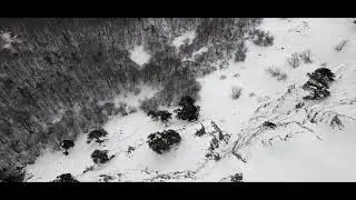 Pollino - Cinematic video - Serra di Crispo