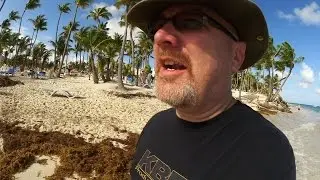 Punta Cana - Update, Breakfast Review, Beach Walk, Too Much Rum - Day 4
