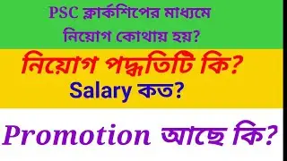 PSC Clerkship job profile, posting ,salary, promotion Part 1 II Always Learn