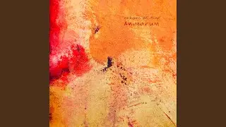 Animarum