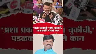 Gopichand Padalkar यांनी  अजितदादांवर केलेल्या वक्तव्यावर Devendra Fadnavis काय म्हणाले?