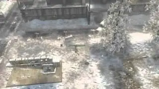 RuAsTeWaRt13 - Tree-ninja