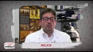 Attenti alla Parola - Melata