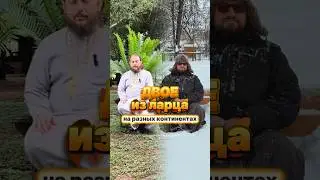 #двоеизларца с @thealwian 😎😎