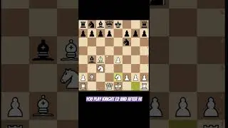 Danish gambit Opening trap #chess #chesstraps