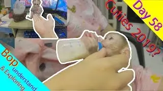 Monkey Baby Cutest you have ever seen 2019 | Day 58 Bop understand and like to discover