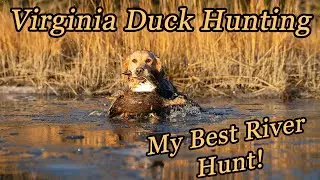 My Best Duck Season Yet! ICY River Duck Hunt in the Appalachians - Virginia Public Land Duck Hunting