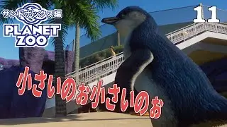 [Planet Zoo] Welcome Little Penguin [Game Commentary] 11