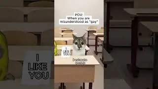CAT MEMES 🐱 When you are misunderstood #shorts #catmemes #relatable