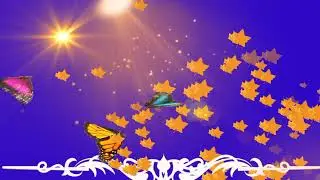 green screen avi download for edius 5,6,7,8,9,X 2021 007