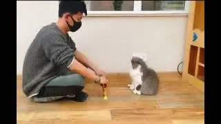 Великая храбрость