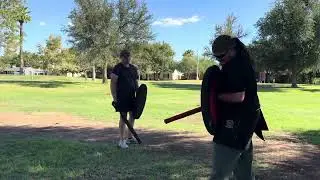 Lance v Guleyl