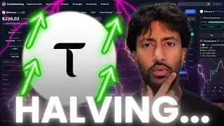 ХАЛВИНГ $TAO УЖЕ БЛИЗОК! ЧТО ДОЛЖЕН ЗНАТЬ КАЖДЫЙ ВЛАДЕЛЕЦ...