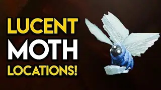 Destiny 2 - ALL LUCENT MOTH LOCATIONS!