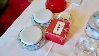 Presentaci&oacute;n oficial en Argentina de Jade Bird Fire Europe