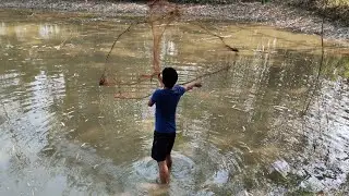 Amazing Net Fishing In Village Pond | Best Fishing Video | Traditional Fishing Method | Rural Life