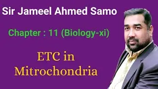Subject: Biology || Topic: ETC in mytochondria || By: Sir jameel Ahmed Samo