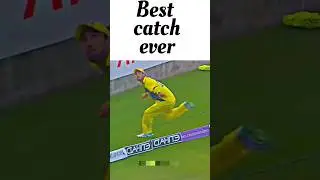 best catch ever #cricket #psl8 #cricketlover #cricketfan #fitness