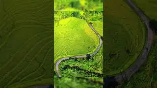 Explore Nậm Cang: Sapa&rsquo;s Serene Village Escape