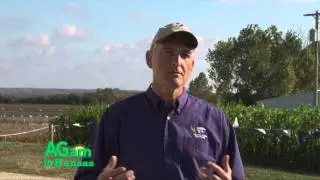 AGam in Kansas - Cover Crops - January 21, 2016