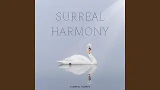 Surreal Harmony