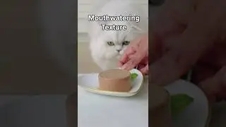 Now Serving&hellip;Fancy Feast&reg; Wet Cat Food &ndash; Chef Inspired. Cat Adored.