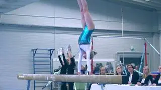 Telinevoimistelun joukkue-SM 2017