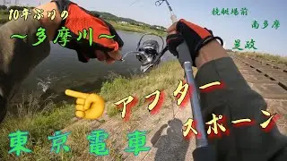 10年ぶりの多摩川にスモール釣りに行ったらめっちゃ楽しめました