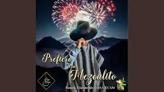 Prefiero Un Mezcalito