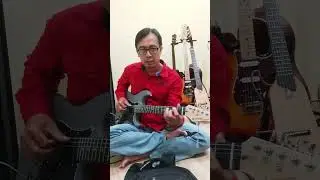 review gitar Donner DST 80