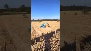 Farming Made Easy Watch the Excavator Work the Land Efficiently