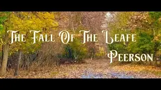 AI Runway ML Short Video Showreel (2021) Fall of the Leafe by Martin Peerson