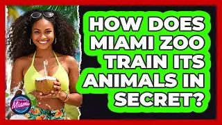 How Does Miami Zoo Train Its Animals In Secret? - Everything About Miami