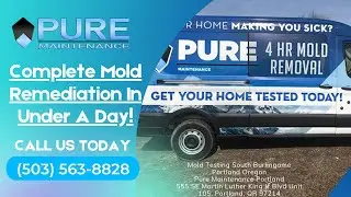 Mold Testing South Burlingame Portland Oregon - Pure Maintenance Portland - (503) 461-1006